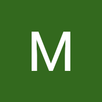 Ирина Дубина